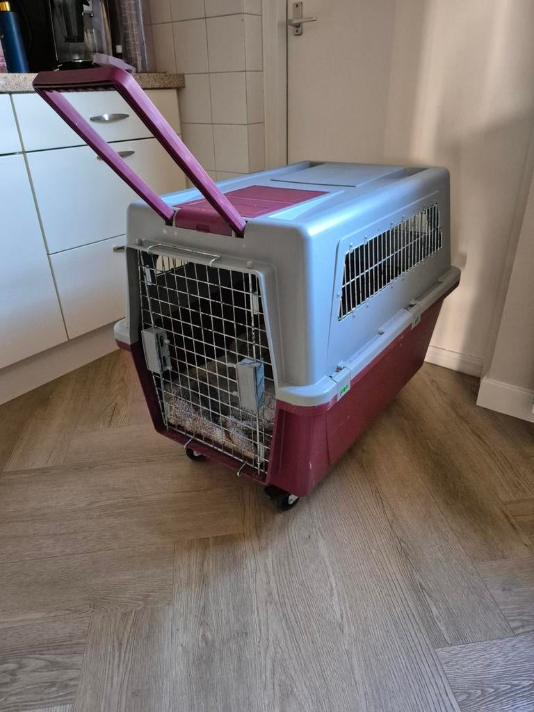 Transportbox/reisbench op wielen, Ophalen