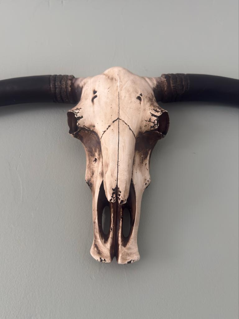 Decoratieve schedel met hoorns / longhorn- ruim 90 cm breed, Huis en Inrichting, Woonaccessoires | Overige, Ophalen, Gebruikt