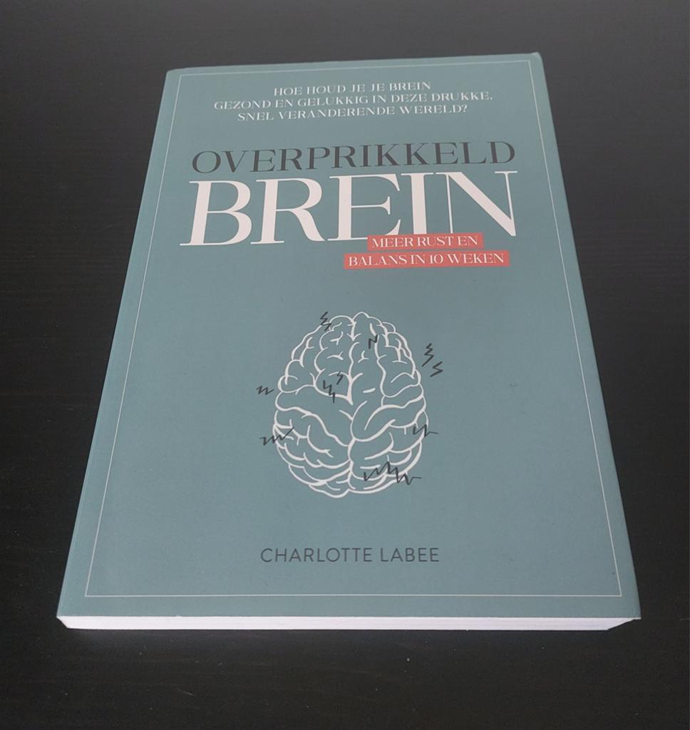 Charlotte Labee - Overprikkeld brein ️, Ophalen of Verzenden, Zo goed als nieuw, Charlotte Labee