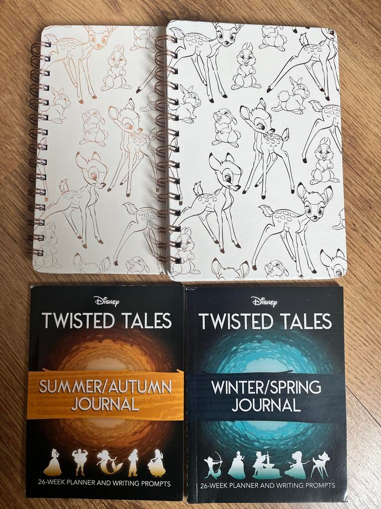 Disney notitieboekjes en Twisted Tales Journals, Ophalen of Verzenden, Zo goed als nieuw