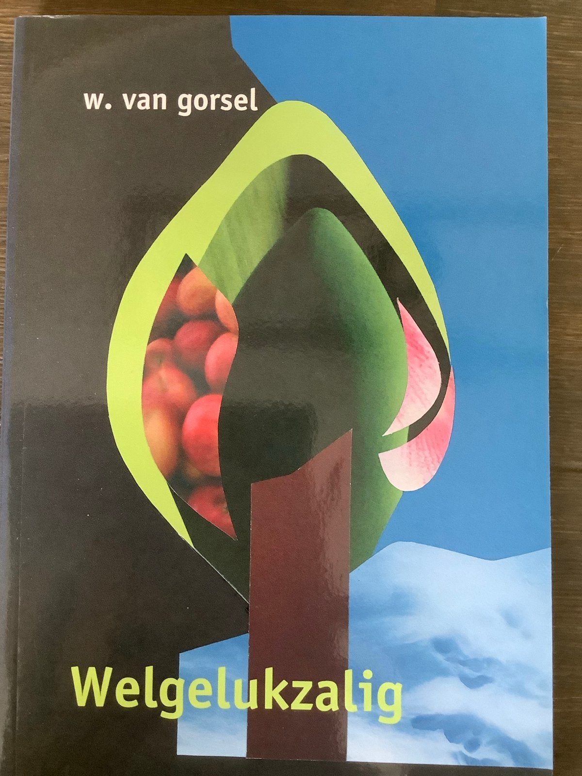 Welgelukzalig - Meditaties over de Psalmen, Ophalen of Verzenden, Zo goed als nieuw, Christendom | Protestants