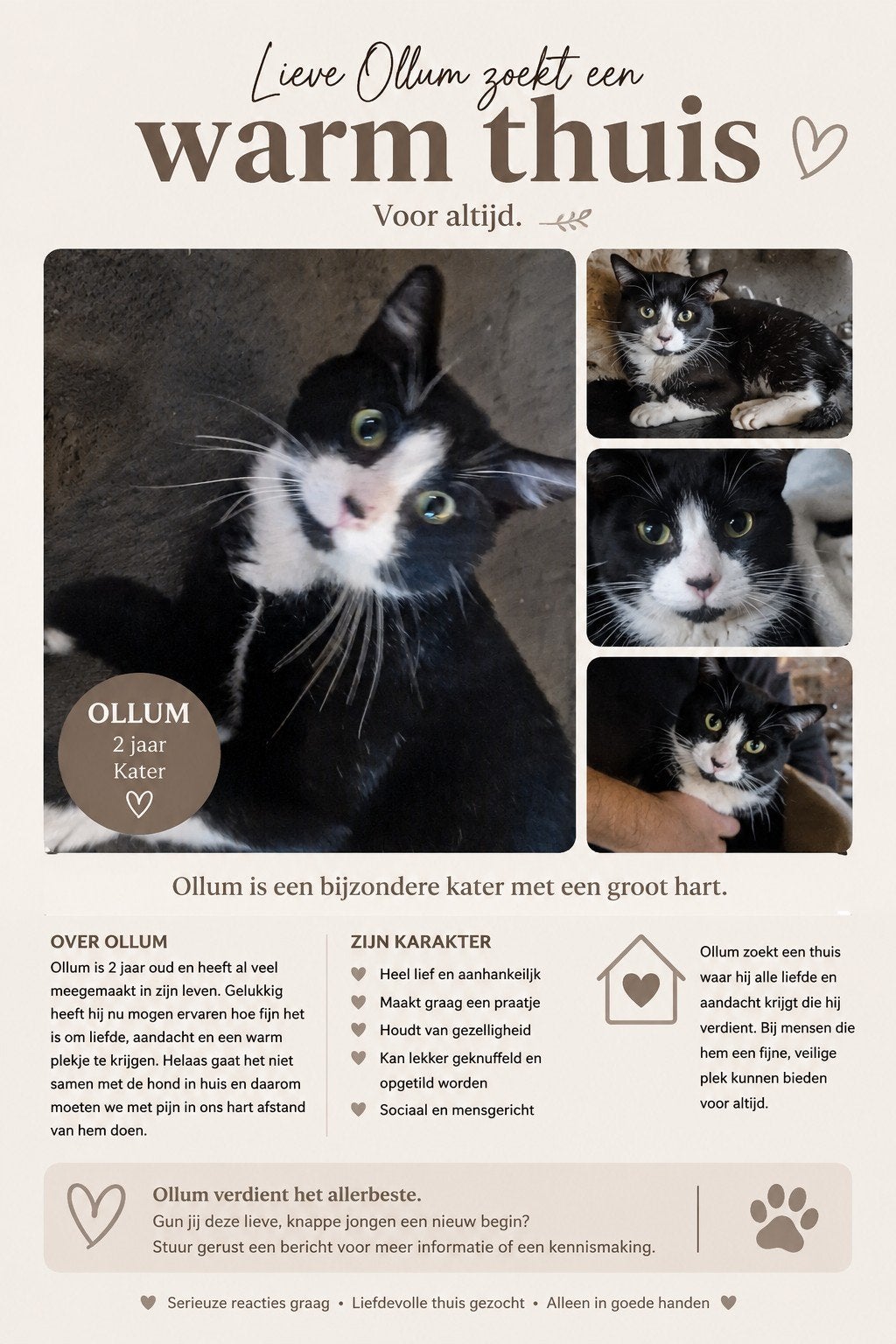 OLLUM De lieve kater️, 0 tot 2 jaar