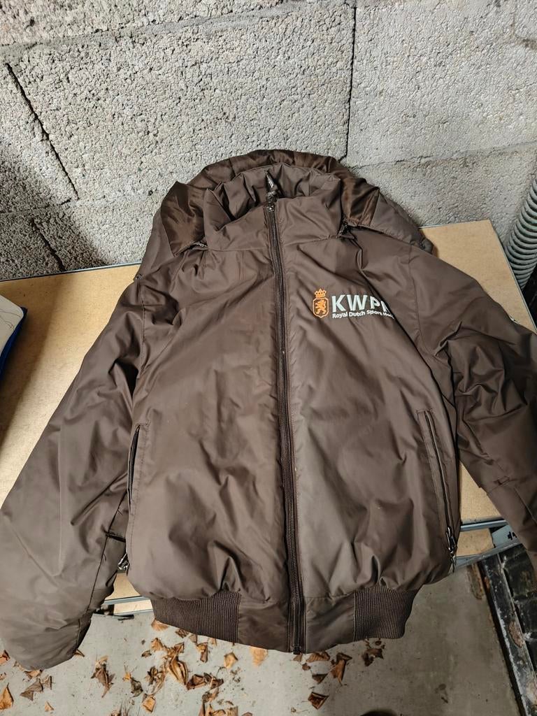 Nieuwe KWPN winterjas - Maat S, Kleding | Dames, Jassen | Winter, Nieuw, Maat 36 (S), Bruin, Ophalen of Verzenden