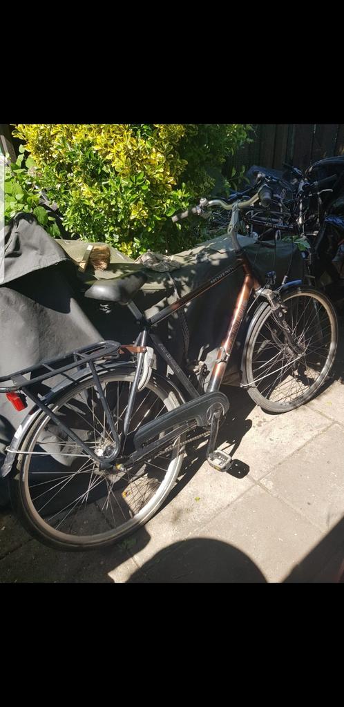 Avenue herenfiets - Stoer en snel, Ophalen of Verzenden