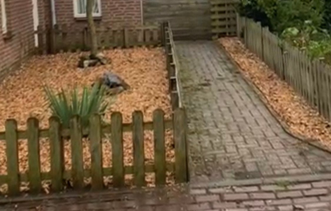 Te koop: houten tuinhekwerk ±30 meter, Ophalen, Gebruikt, Hout, Tuinhek