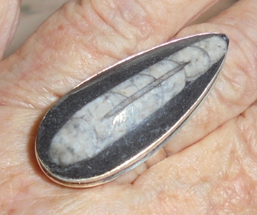 prachtige zilveren ring 17,5-18mm, Sieraden, Tassen en Uiterlijk, Ringen, Verzenden, Nieuw, 17 tot 18, Dame