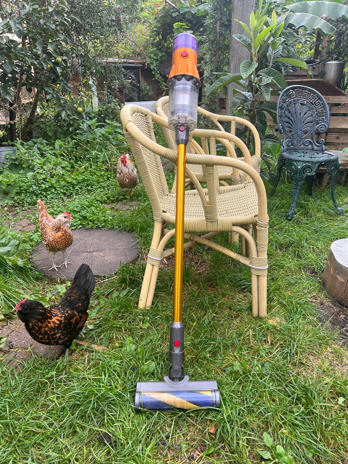 Dyson V12 Detect Slim Absolute Draadloze Steelstofzuiger