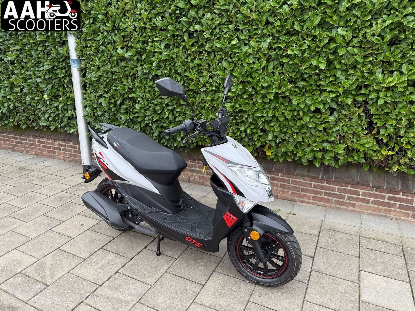 ACTIE! Nieuwe GTS Enzo Naked brom of snor in diverse kleuren, Onbekend, Nieuw, Onbekend, GTS