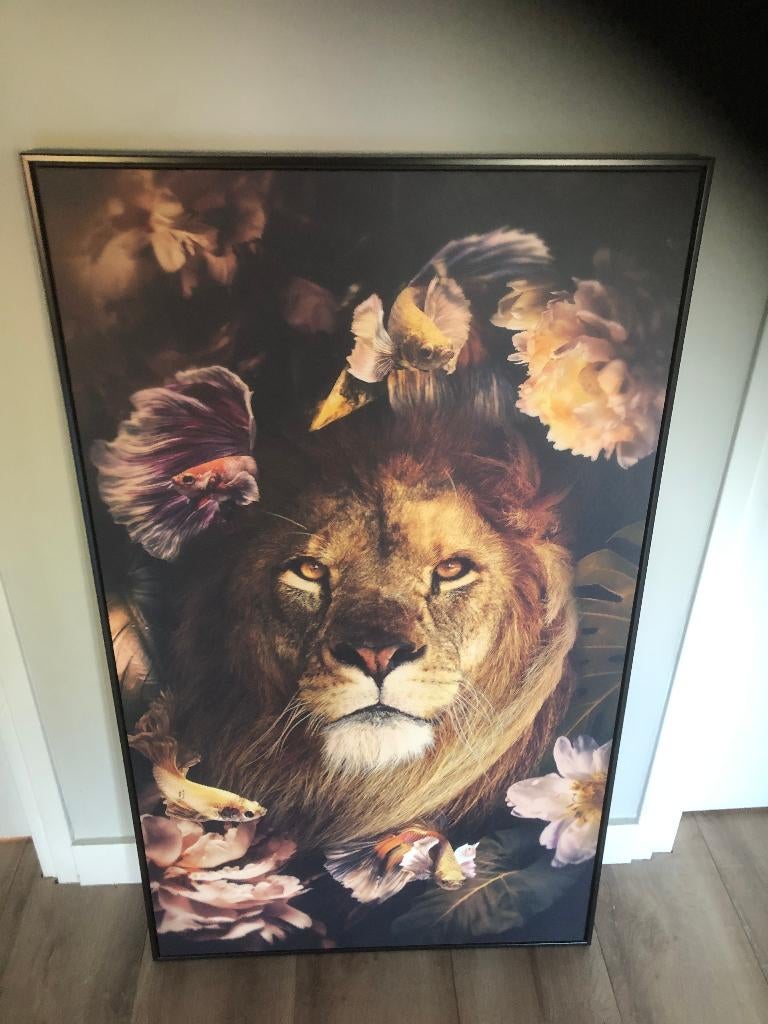 lijst met print van leeuw, Ophalen, Zo goed als nieuw, 75 cm of meer, 50 tot 75 cm