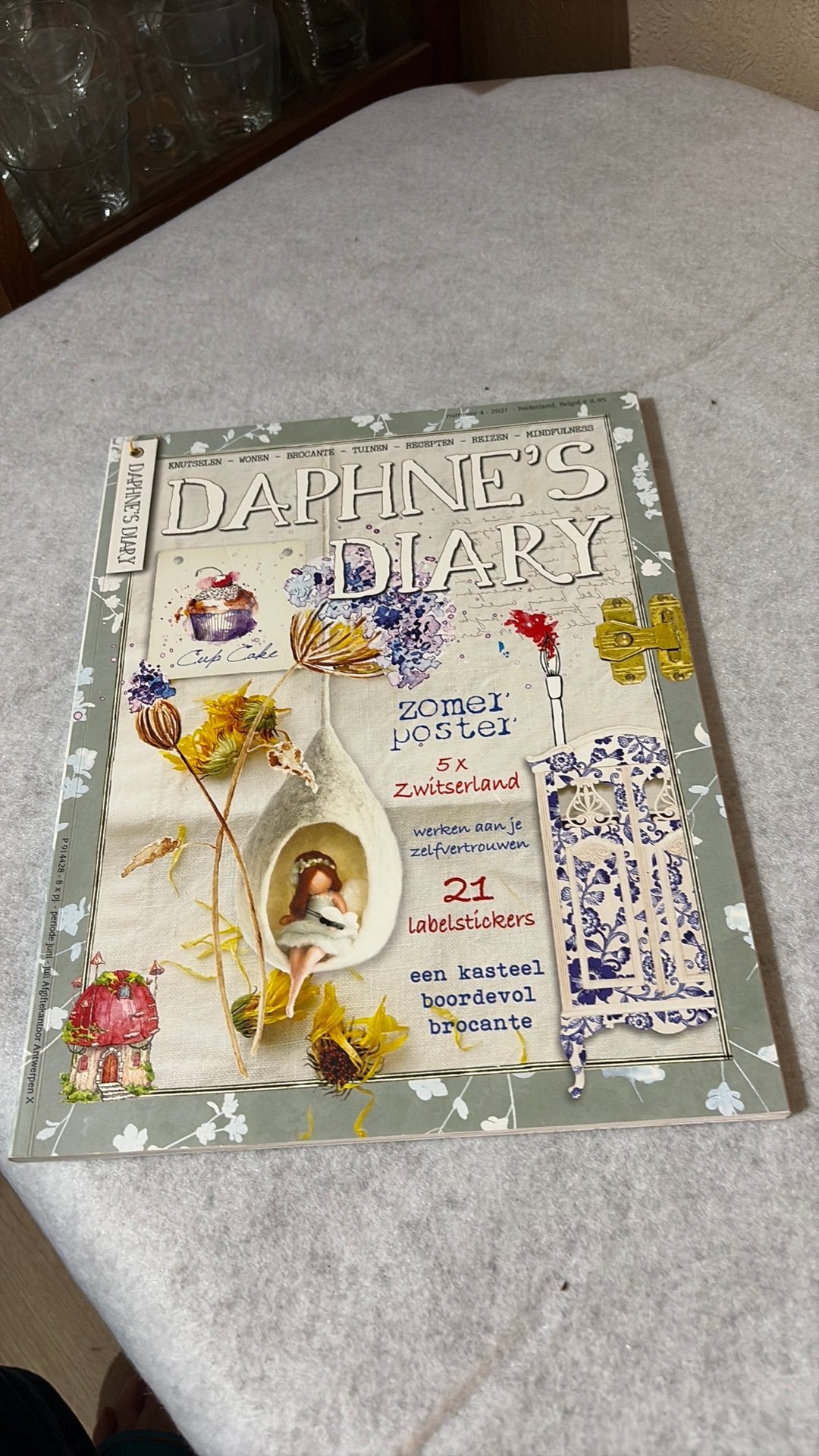 Daphne’s Diary, Ophalen of Verzenden, Zo goed als nieuw