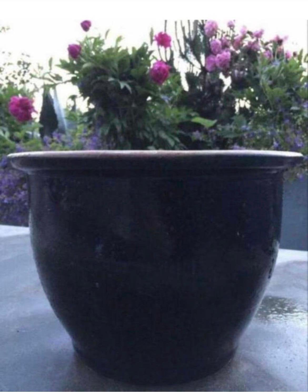 Grote oud Hollandse terracotta geglazuurde blauw bloempotten, Tuin en Terras, Bloempotten, Ophalen, Gebruikt, Rond, Minder dan 40 cm