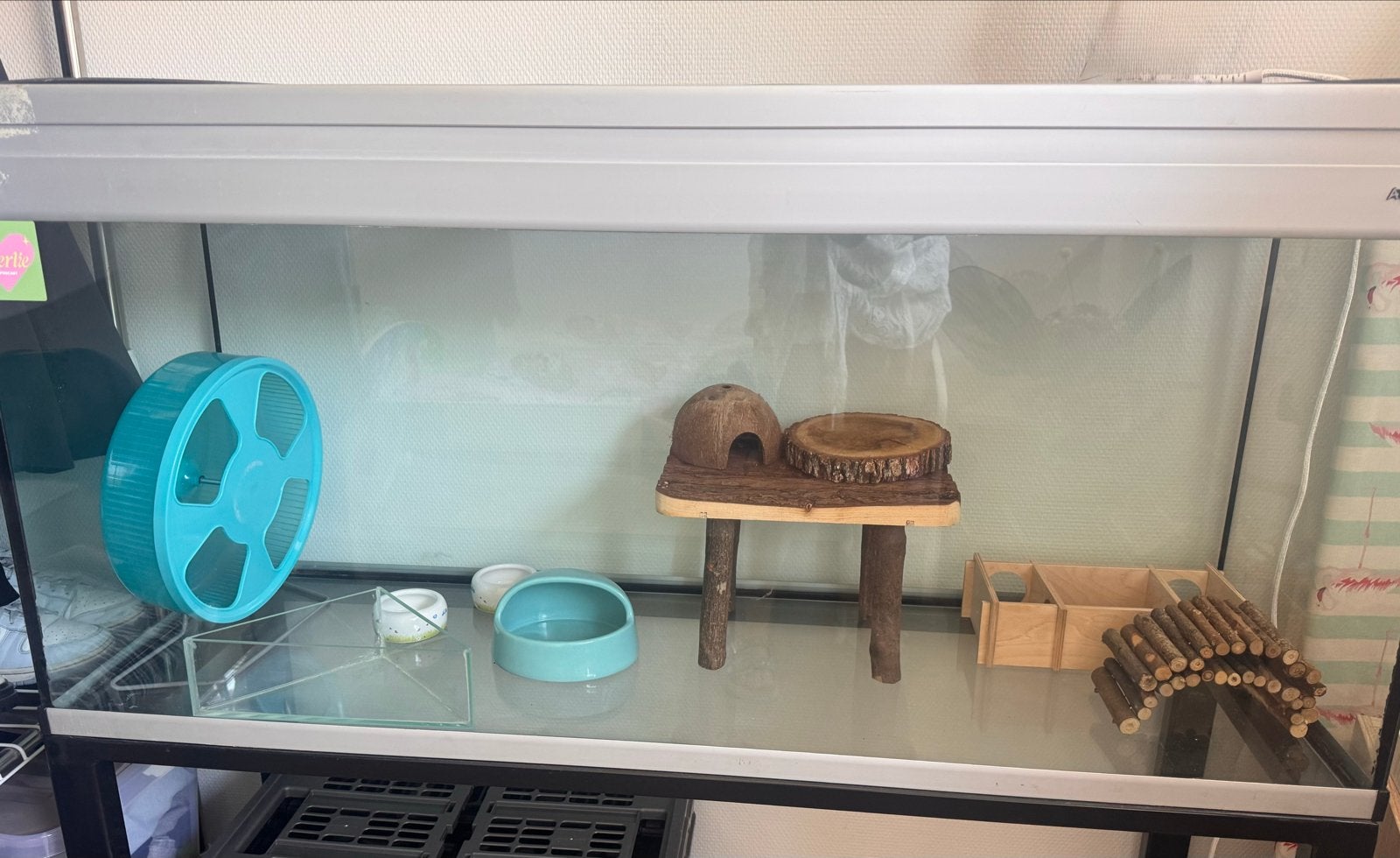 Terrarium+onderstel en toebehoren hamster, Dieren en Toebehoren, Ophalen, Zo goed als nieuw, Overige typen