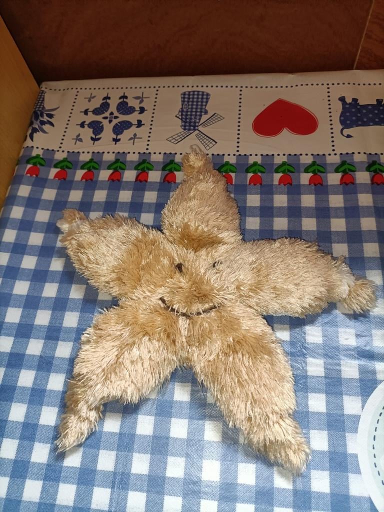 Zeester knuffeldoekje 24 cm groot, Ophalen of Verzenden, Zo goed als nieuw, Overige typen