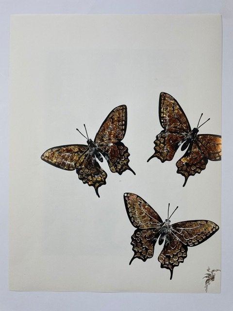 poster  houtsnede vlinders op oud prentenpapier gedrukt, Ophalen of Verzenden, Gebruikt, Minder dan 50 cm, Foto of Poster