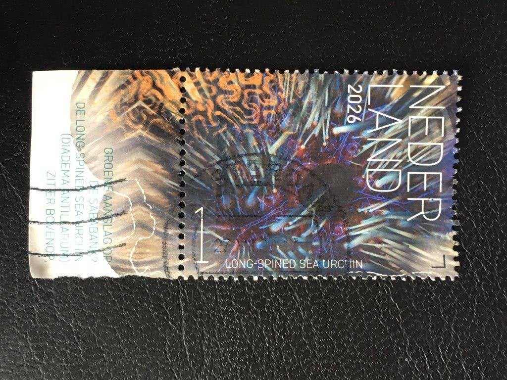 3218 Nederland 2026 SABA Onderwater - Long Spined, met tab, Ophalen of Verzenden, Na 1940, Gestempeld