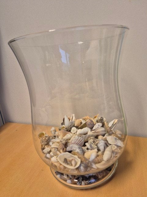 Glazen stolp met schelpen, Ophalen, 25 cm, Nieuw, Inclusief decoratie
