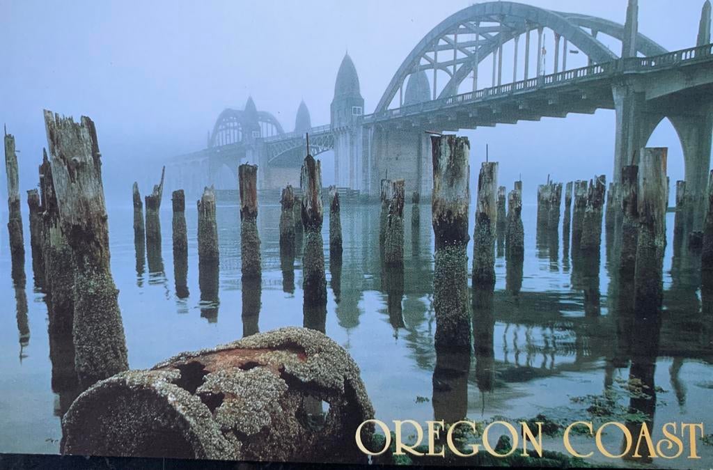 Amerika, Oregon Coast., Verzamelen, Ansichtkaarten | Buitenland, Ophalen of Verzenden, Ongelopen, Buiten Europa