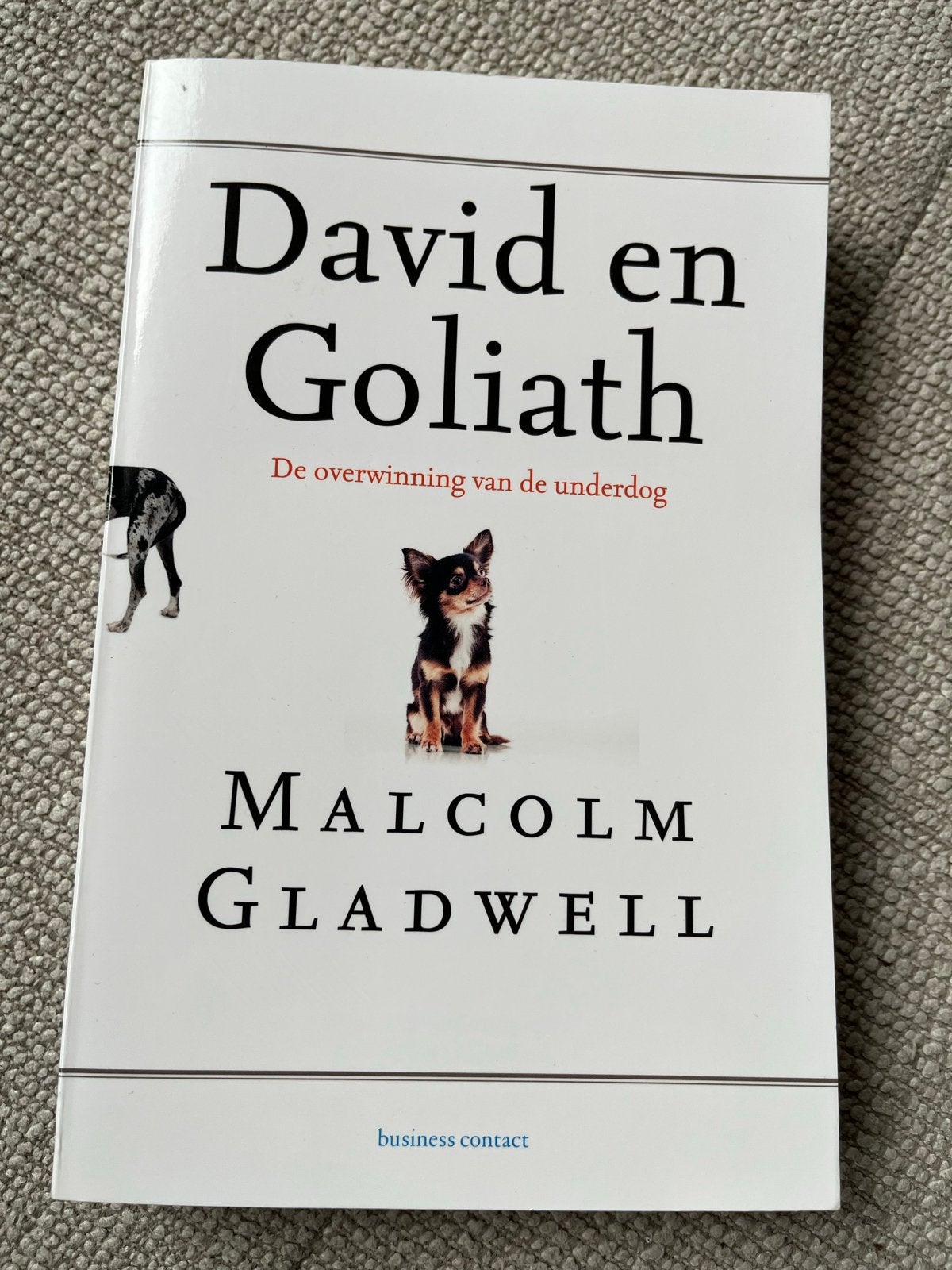 David en Goliath - Malcolm Gladwell (Zo goed als nieuw), Ophalen of Verzenden, Zo goed als nieuw