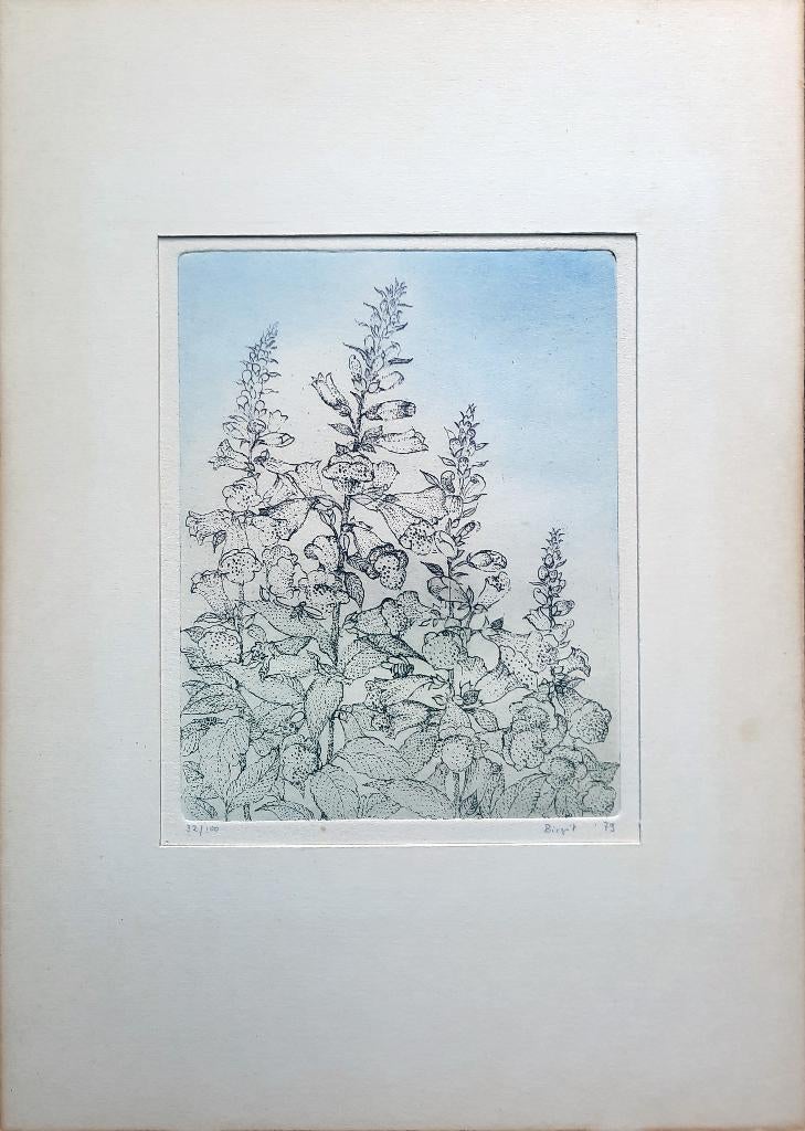 Vingerhoedskruid 32/100 - Kunstenaar: Birgit Krabiell, Handgekleurd, 29 cm, Ophalen of Verzenden, Flora en Fauna