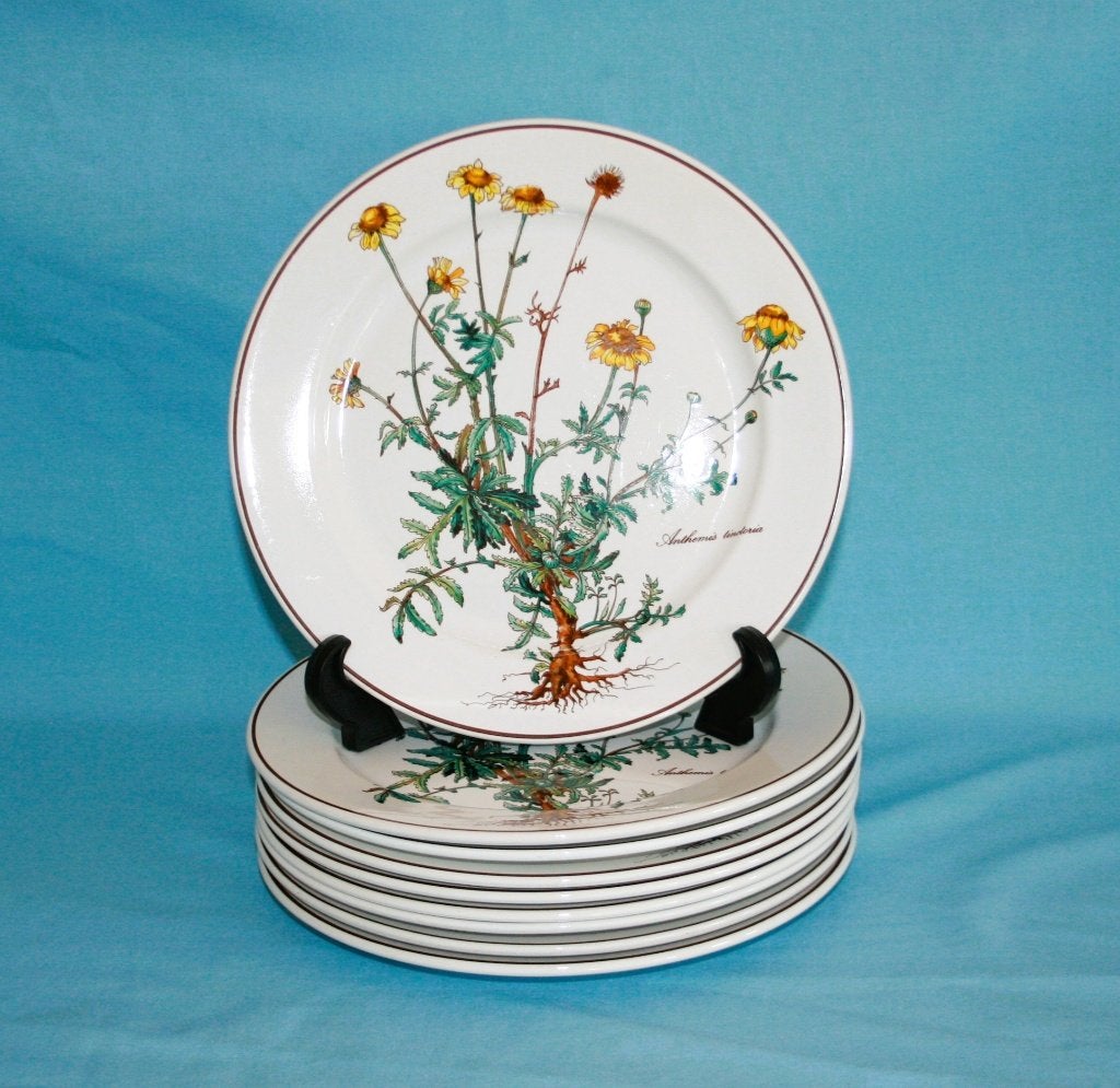 Villeroy & Boch " Botanica " Dinerborden 24cm, Villeroy & Boch, NVT, Ophalen of Verzenden, Zo goed als nieuw