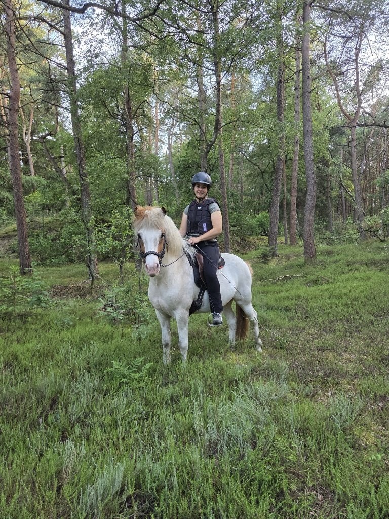 Twee leuke en betrouwbare IJslanders / IJslandse paarden, Dieren en Toebehoren, Met stamboom, 3 tot 6 jaar, Meerdere dieren, Recreatiepony