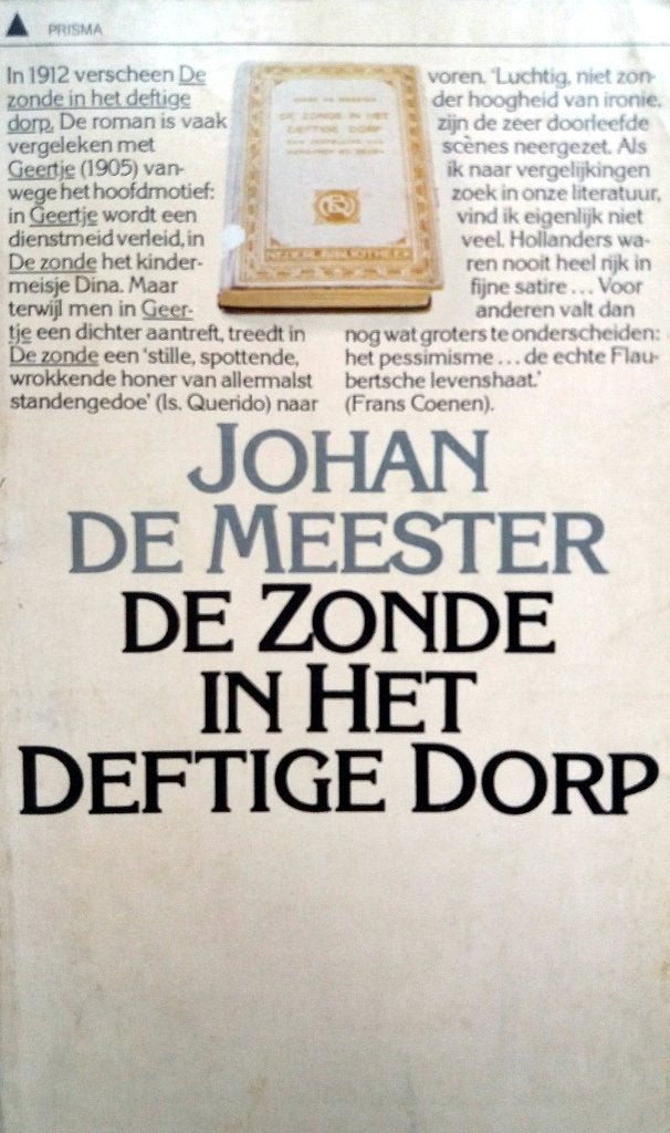 Johan de Meester - De zonde in het deftige dorp, Ophalen of Verzenden, Gelezen, Europa overig