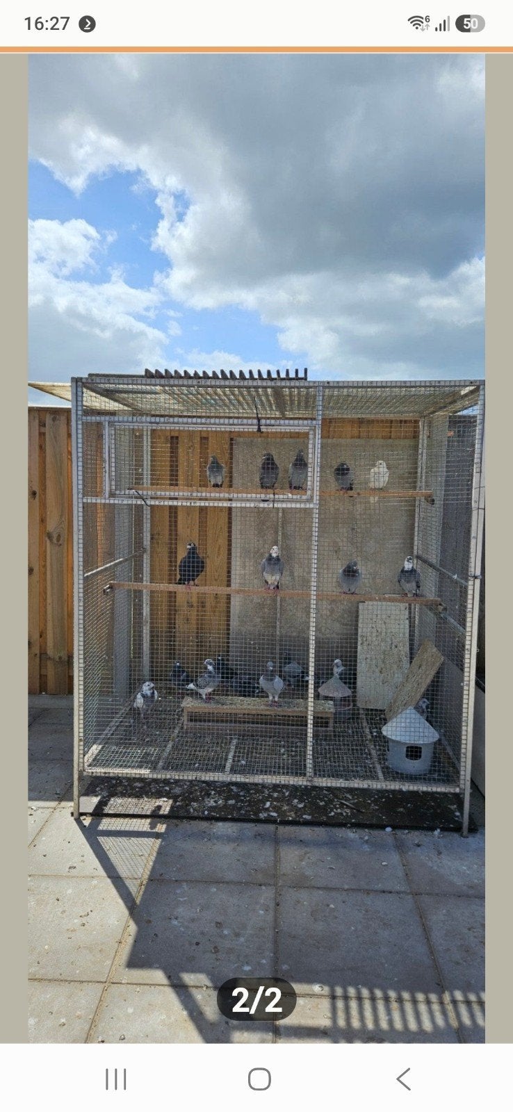 voorzetren, Ophalen, Hout, Vogelkooi