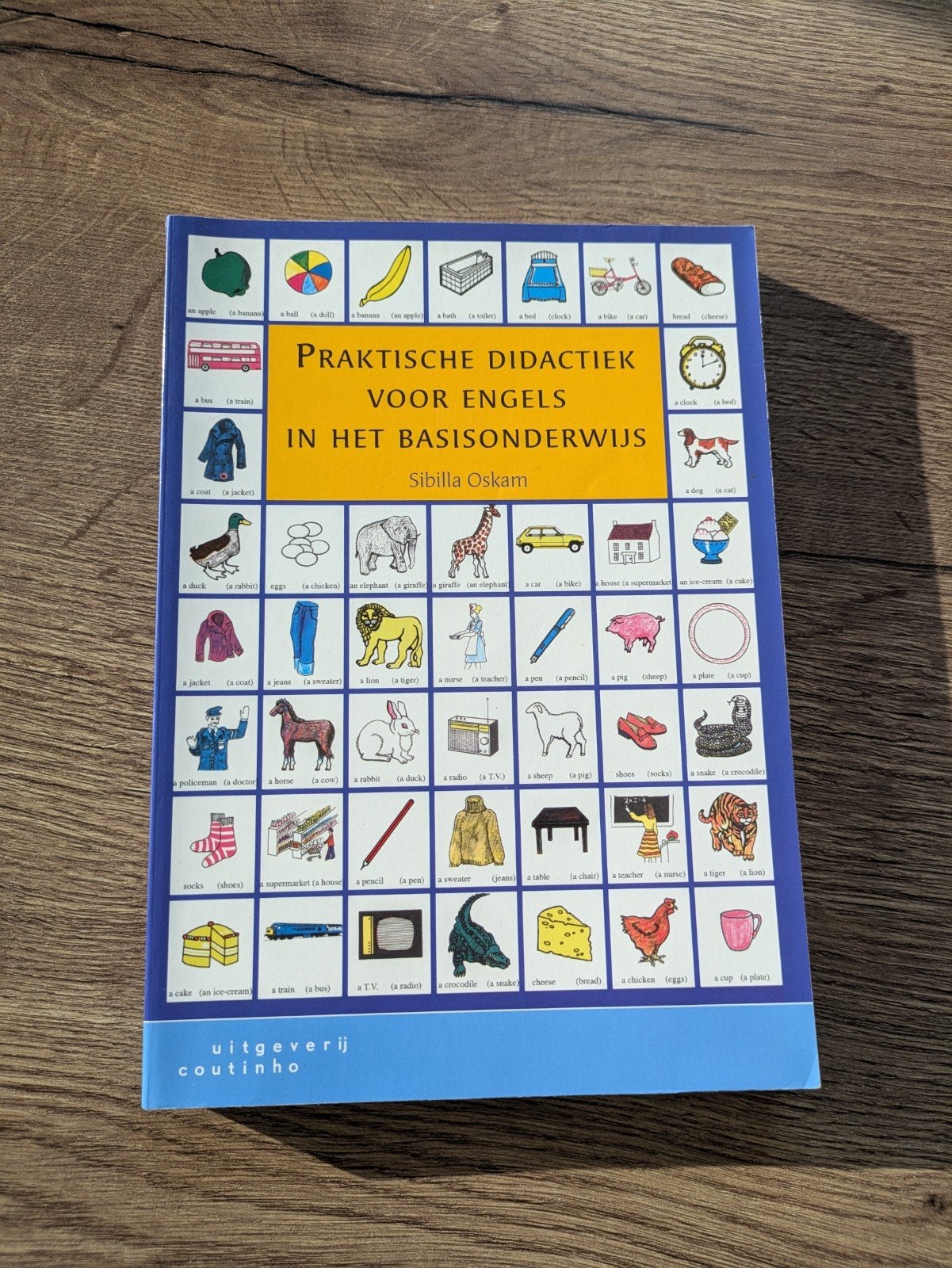 Praktische didactiek voor Engels in het basisonderwijs, Boeken, Overige wetenschappen, Ophalen of Verzenden, Zo goed als nieuw