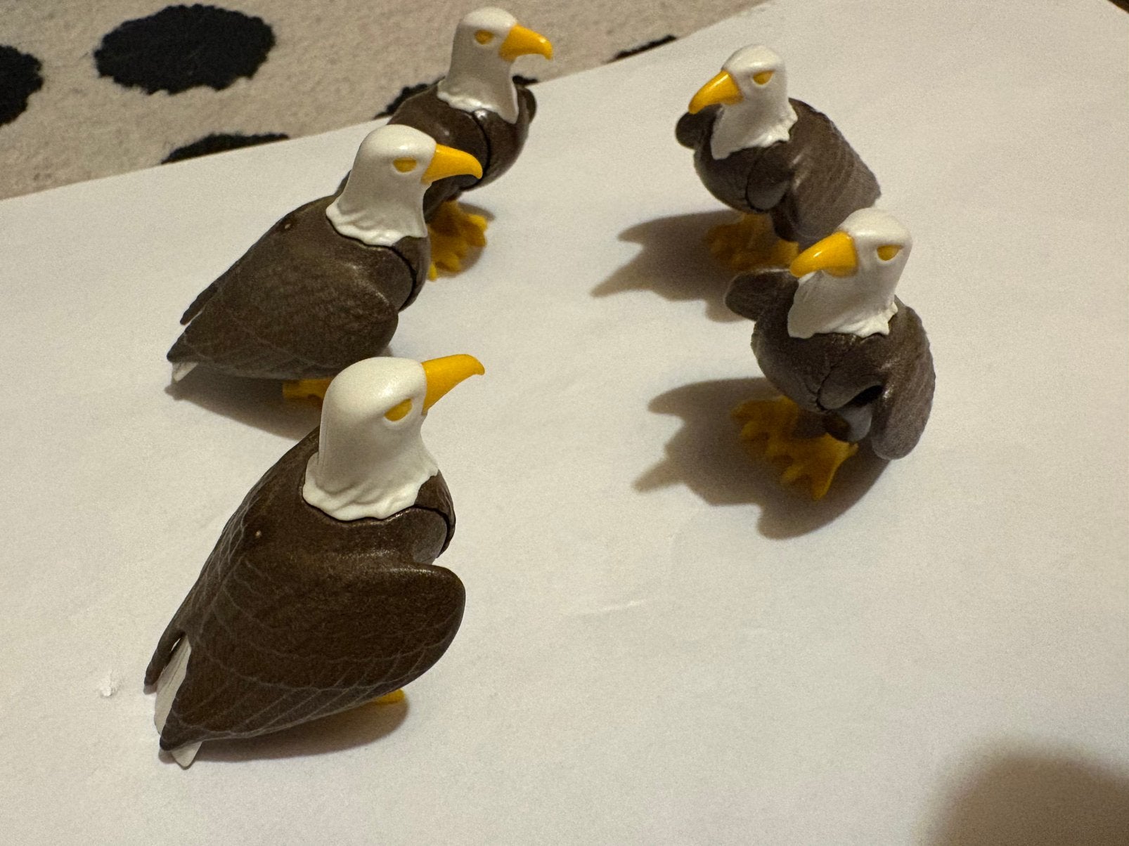 Roofvogels, Ophalen of Verzenden