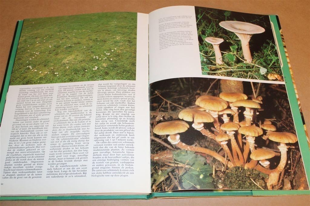 De Kleurrijke Wereld van de Paddestoel [1977] — Vintage, Ophalen of Verzenden, Gelezen, Natuur algemeen
