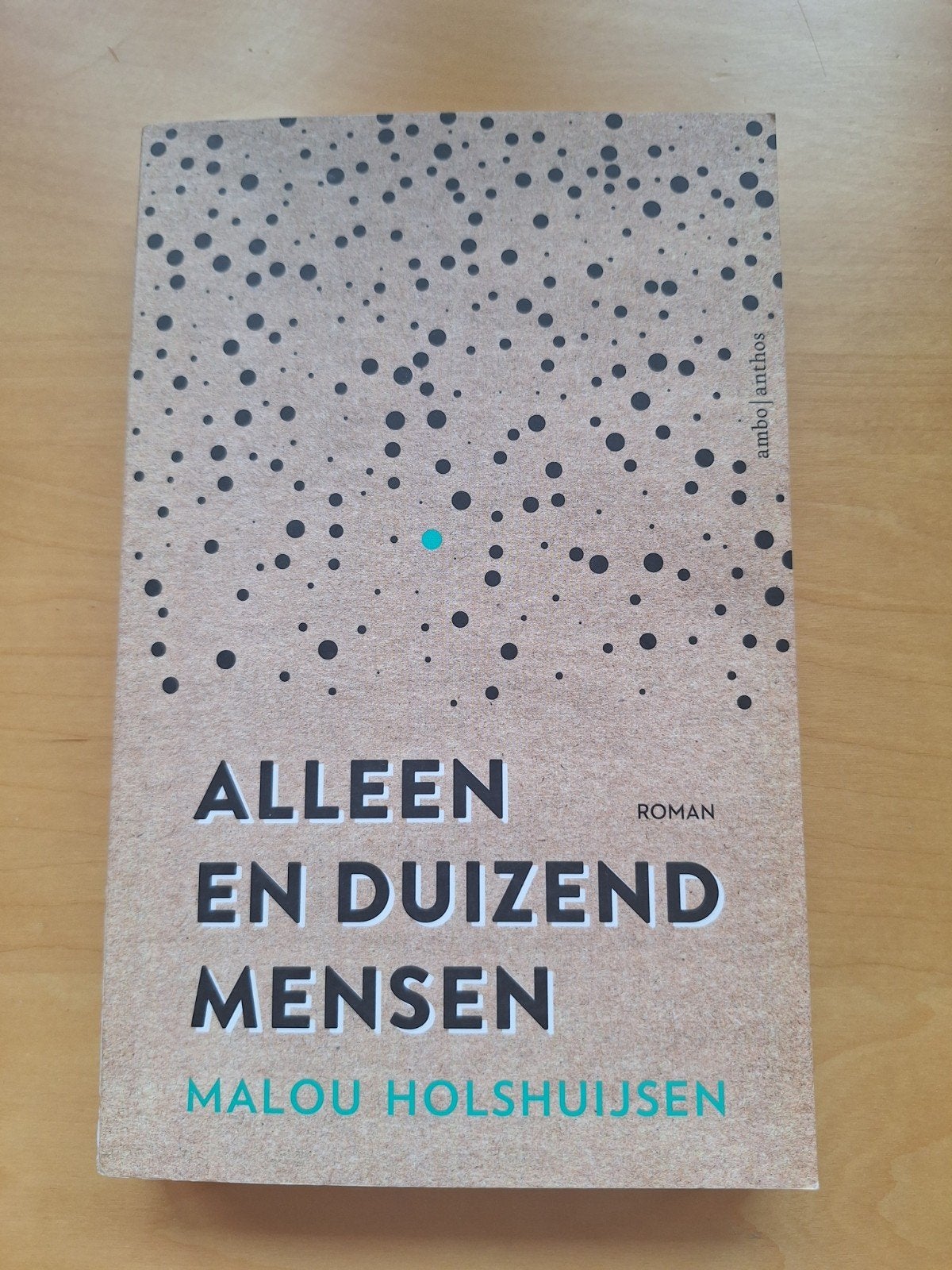Malou Holshuijsen - Alleen en duizend mensen, Ophalen of Verzenden, Nieuw, Malou Holshuijsen