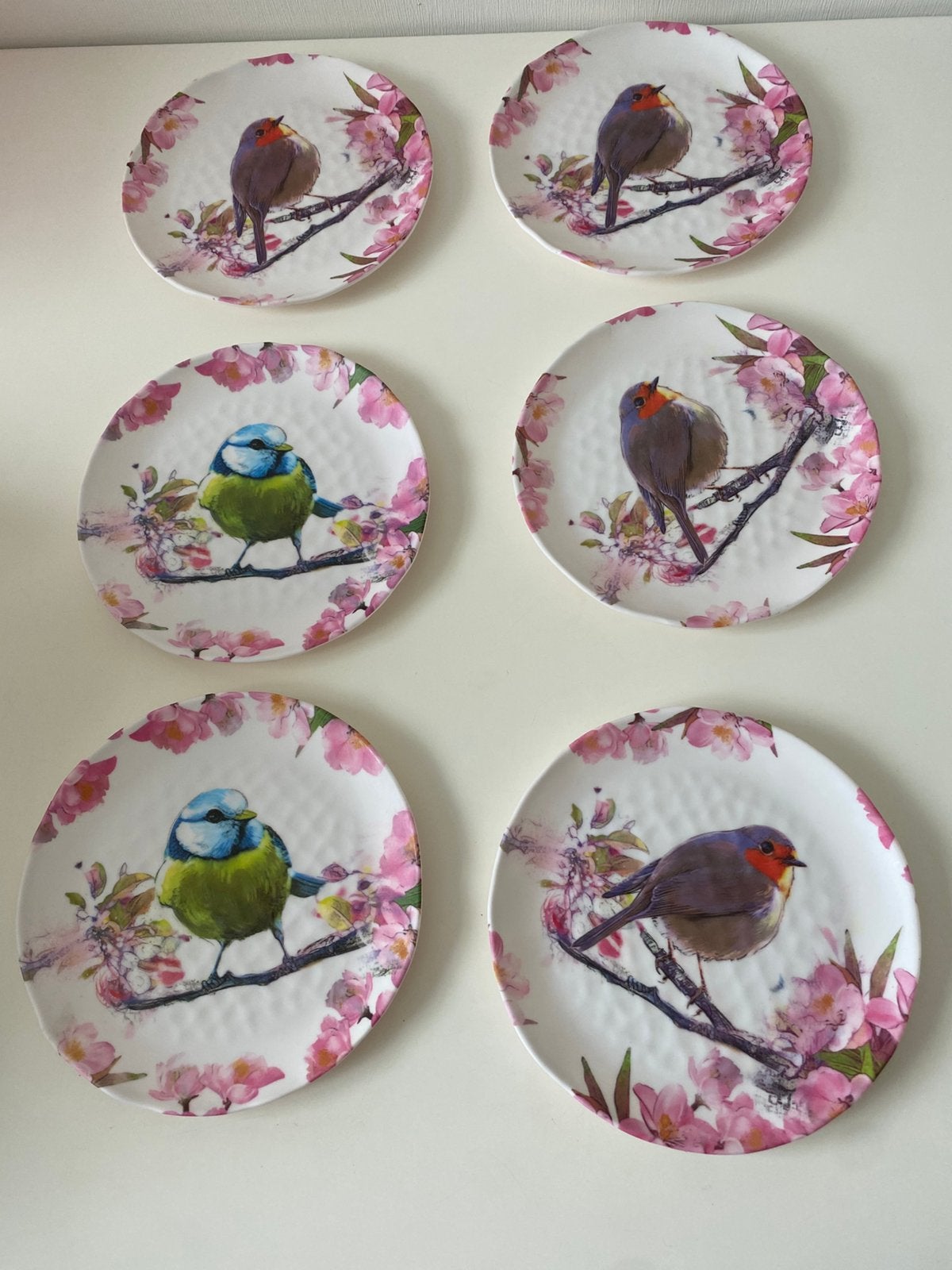 Borden met opdruk (vogel en gebloemd) set van 6 stuks, Ophalen of Verzenden, Zo goed als nieuw, Overige stijlen, Bord(en)
