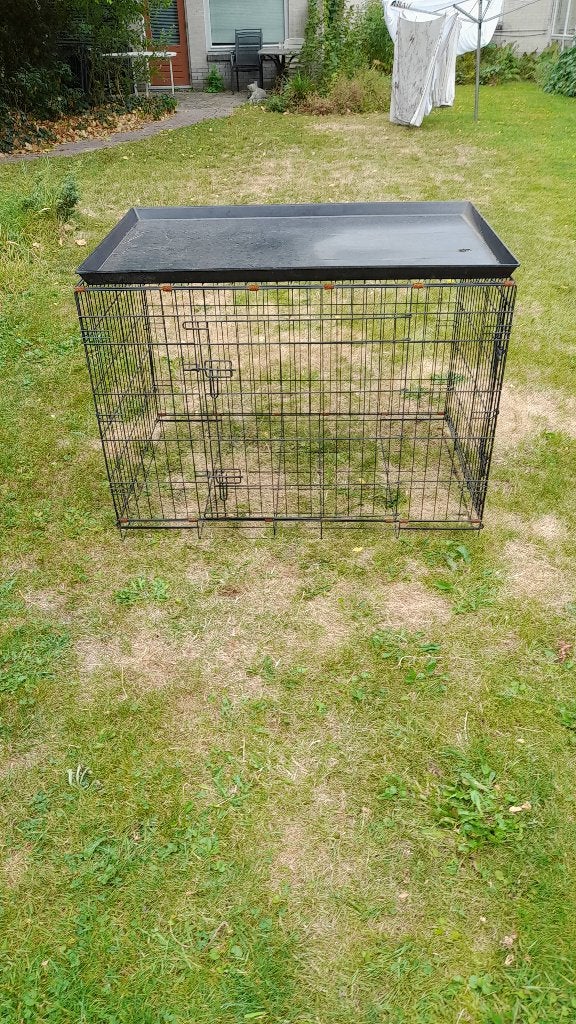 Zwarte hondebensch, Ophalen, Gebruikt