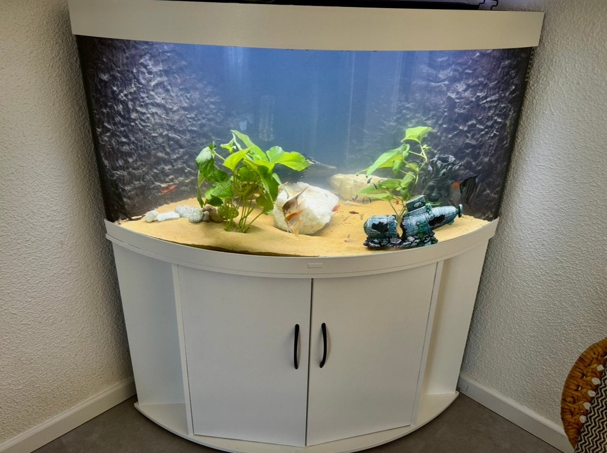 Aquarium 375l, Ophalen, Gevuld zoetwateraquarium