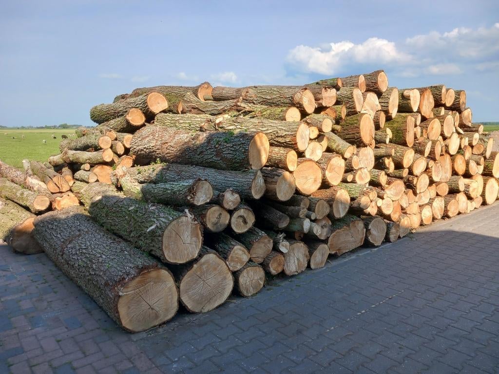 Stamhout brandhout rondhout openhaardhout kachelhout, Ophalen
