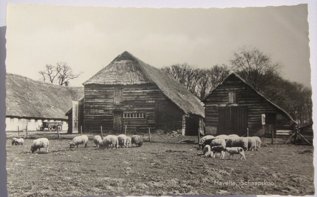 ansichtkaart Drenthe e/o nr. 23 - Havelte, Ophalen of Verzenden, 1940 tot 1960, Gelopen, Drenthe
