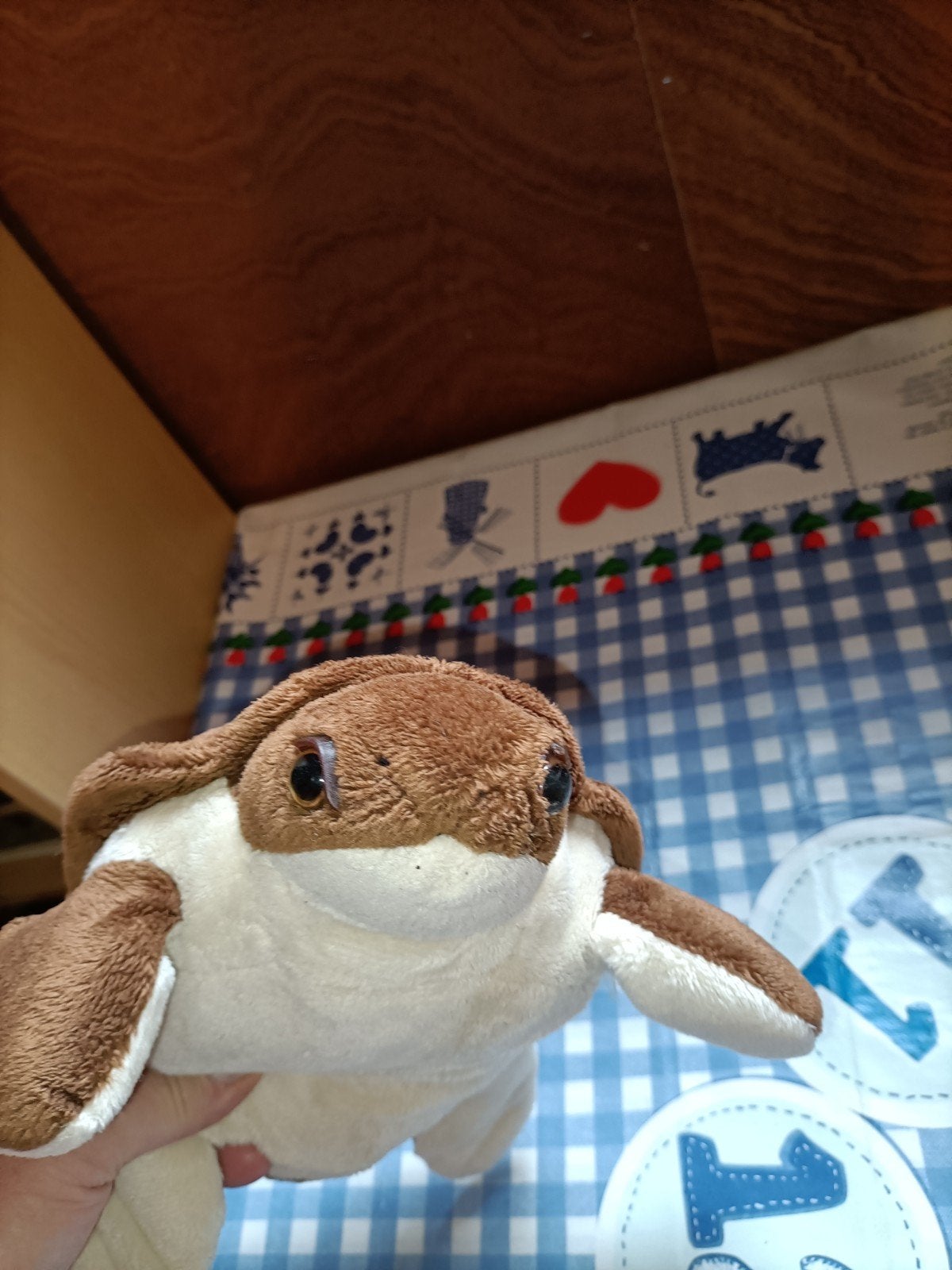Schildpad knuffel, Ophalen of Verzenden, Zo goed als nieuw, Overige typen