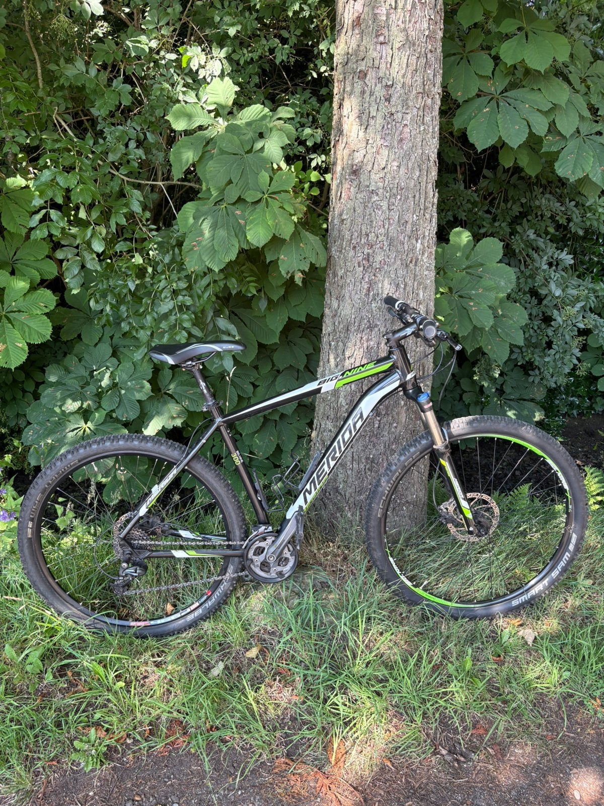 Merida MTB Big Nine 300 29-er, Ophalen, Gebruikt, Hardtail, Merida