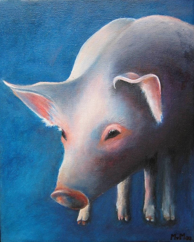 schilderij Varken koe met roos en varken 24x30cm, Ophalen of Verzenden