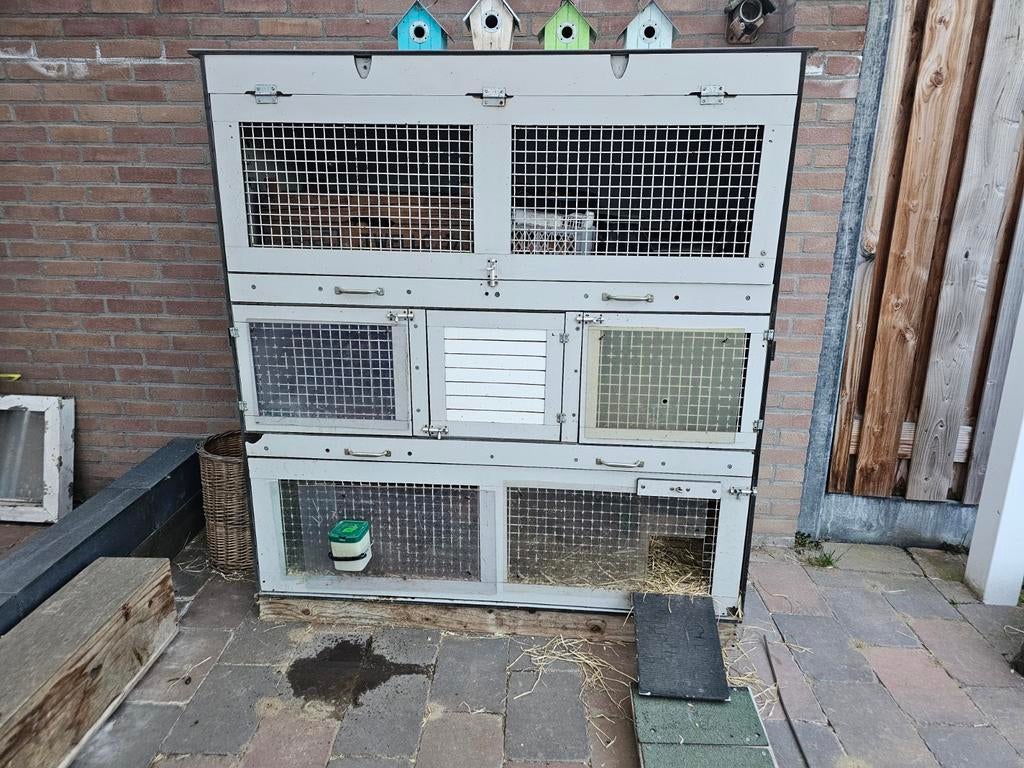 Cavia of dwergkonijnen flat, Ophalen, 90 cm of meer, Konijn, Hok