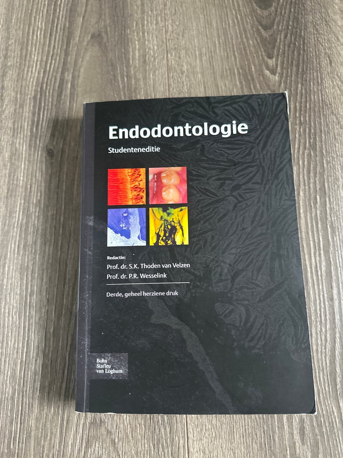 Endodontologie - Studenteneditie (Derde, geheel herziene dru, Ophalen of Verzenden, Beta, Zo goed als nieuw, WO