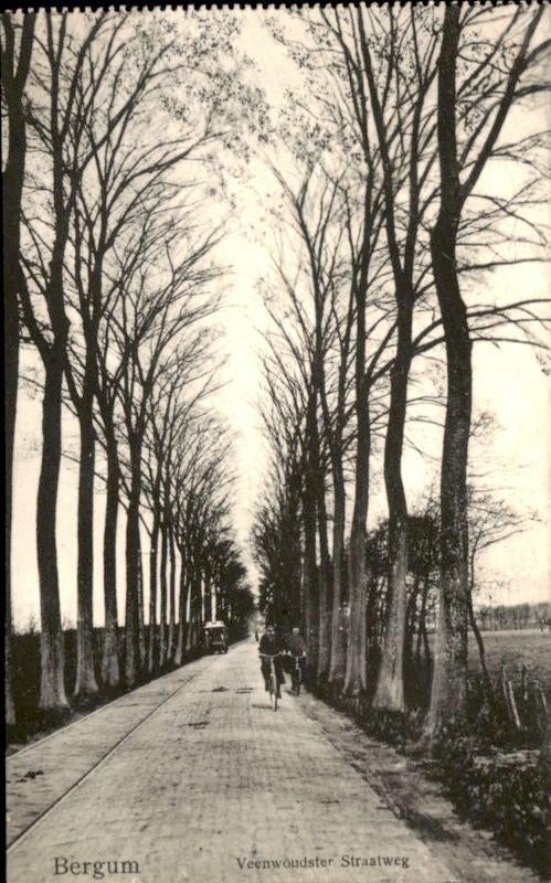 Bergum - Veenwoudster Straatweg, Ophalen of Verzenden, Voor 1920, Ongelopen, Friesland