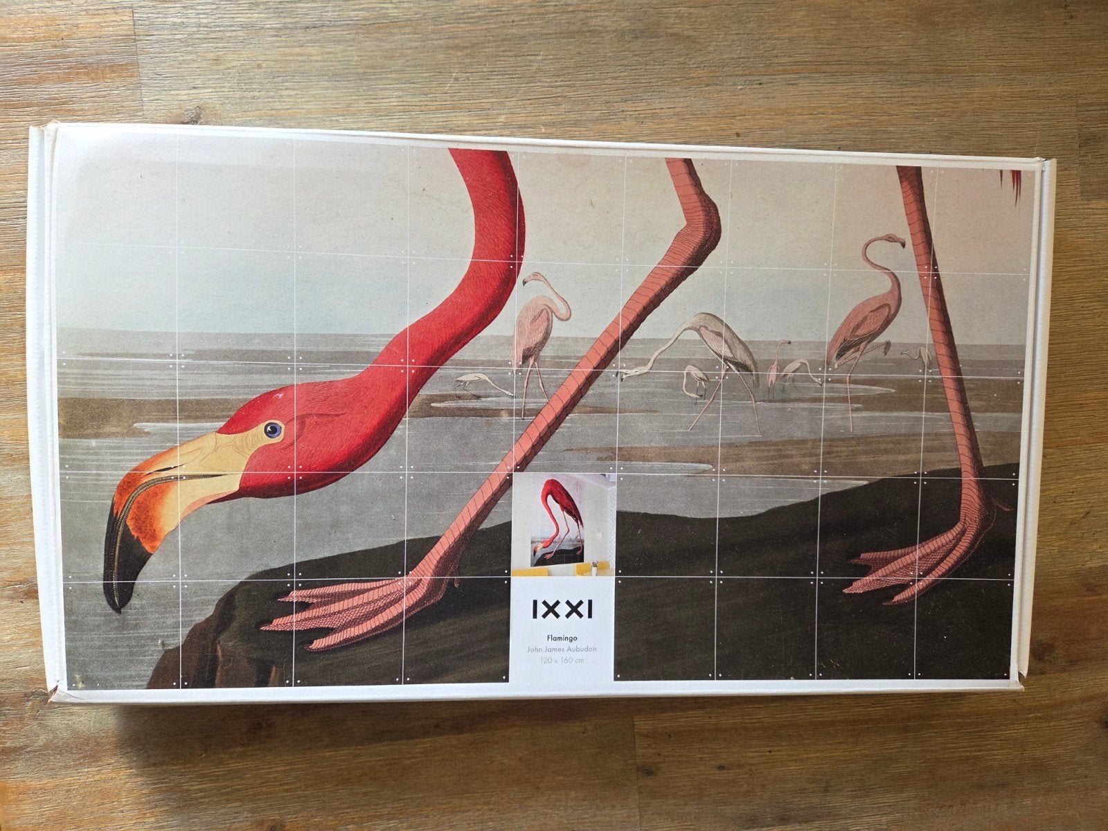 IXXI Flamingo John James Audubon wanddecoratie 120x160cm, Ophalen of Verzenden, Gebruikt