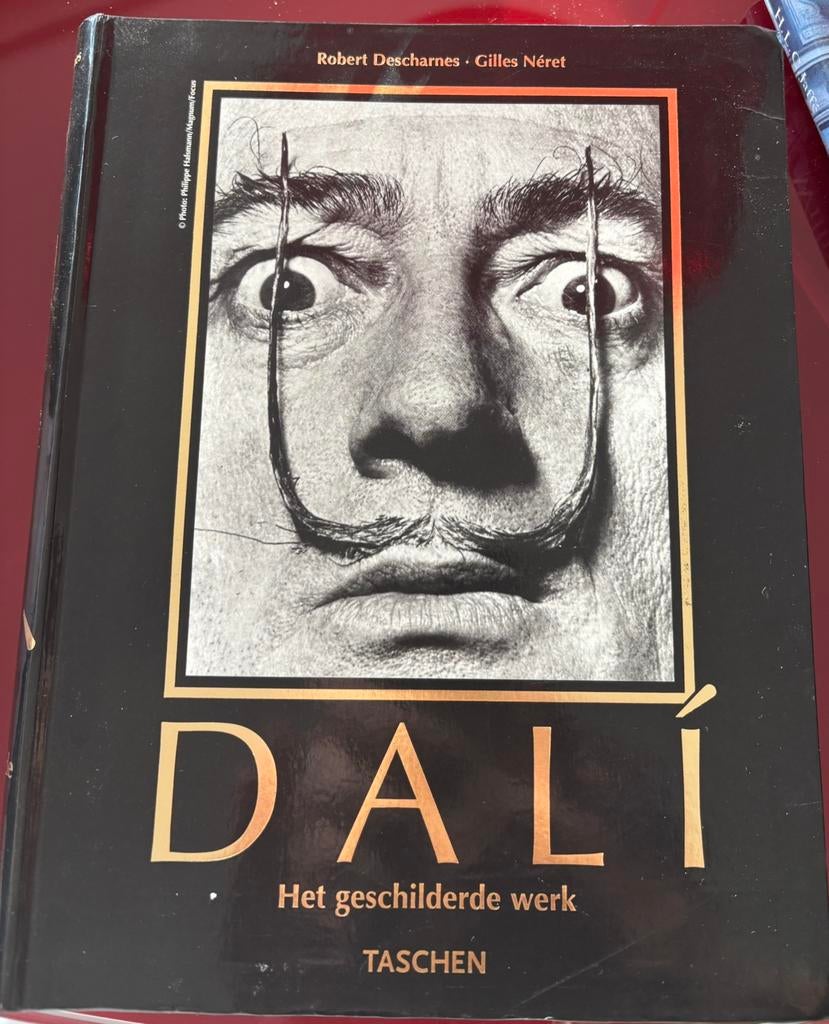 DALÍ Het geschilderde werk - Taschen, Boeken, Ophalen of Verzenden, Zo goed als nieuw, Meerdere auteurs, Schilder- en Tekenkunst