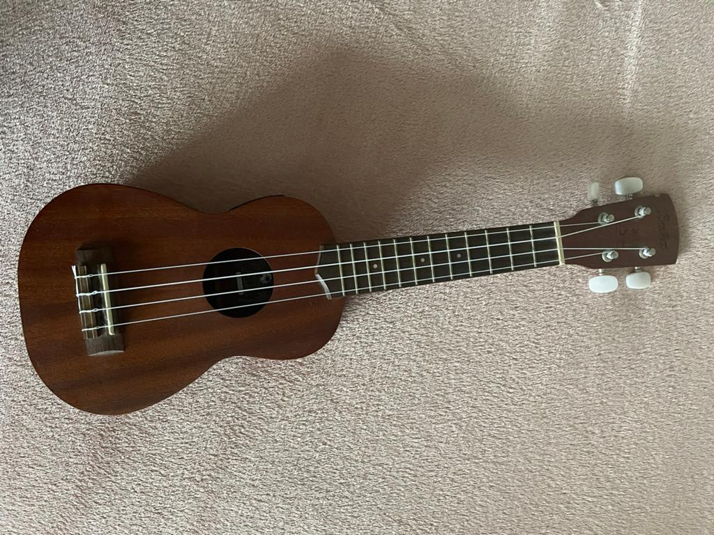Ukulele met ingebouwde stemapparaat, Ophalen of Verzenden, Zo goed als nieuw, Overige typen