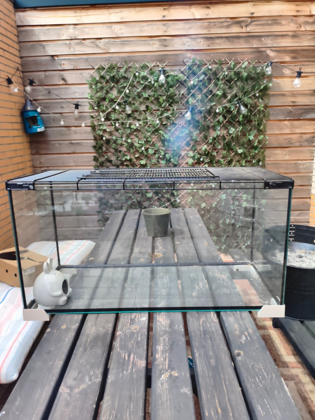 Glazen hamsterkooi, Dieren en Toebehoren, Knaagdieren en Konijnen | Hokken en Kooien, Ophalen, Kooi, Minder dan 60 cm