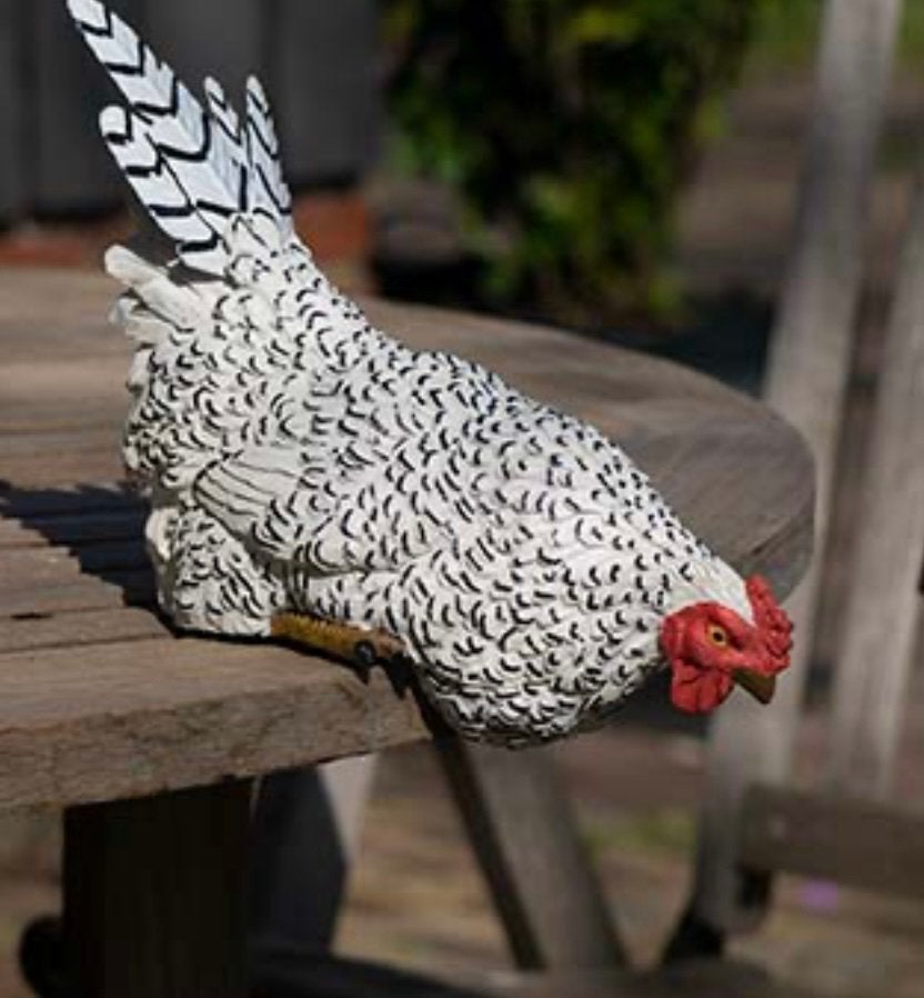 NIEUW nieuwsgierige kip randkip haan, Ophalen of Verzenden, Nieuw