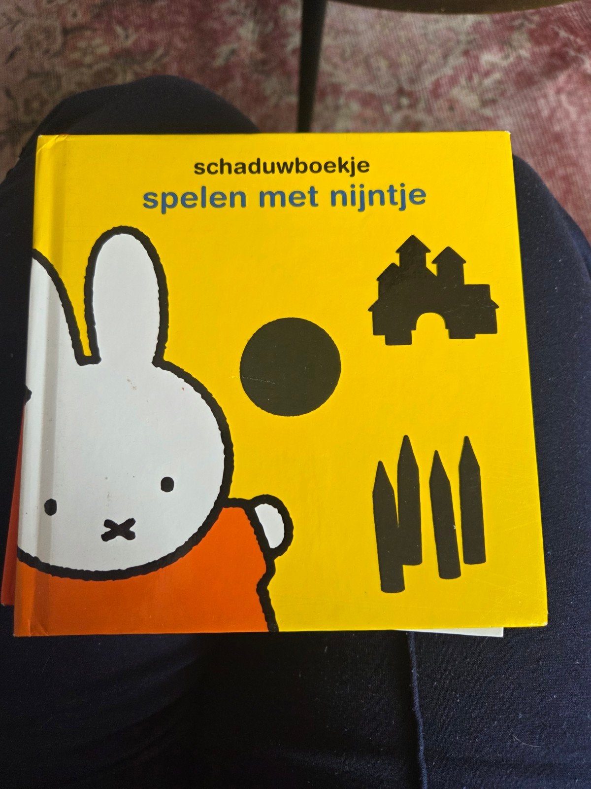 Nijntje boekjes - Diverse titels van Dick Bruna, Gelezen, Fictie algemeen, Jongen of Meisje, Ophalen of Verzenden