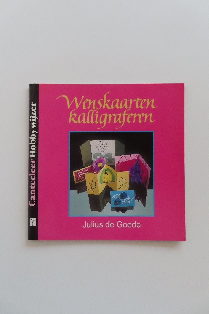 Boek: Wenskaarten kalligraferen & Origamikaarten #hobbyboek, Ophalen of Verzenden, Nieuw, Overige thema's, Overige typen