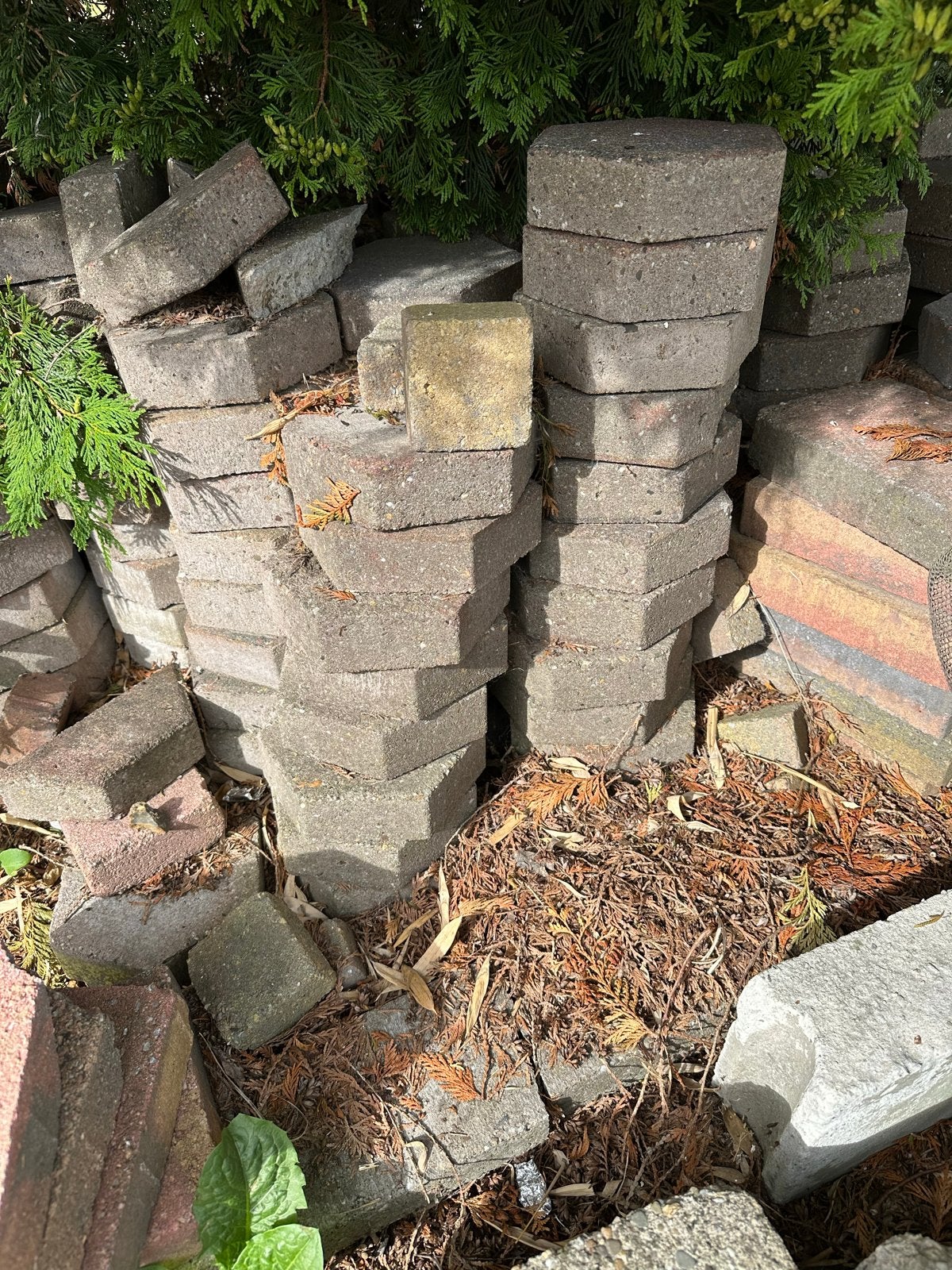 Gratis af te halen: Ongeveer 10m2 gebruikte terrastegels, Tuin en Terras, Tegels en Klinkers, Ophalen, Gebruikt, 10 m² of meer